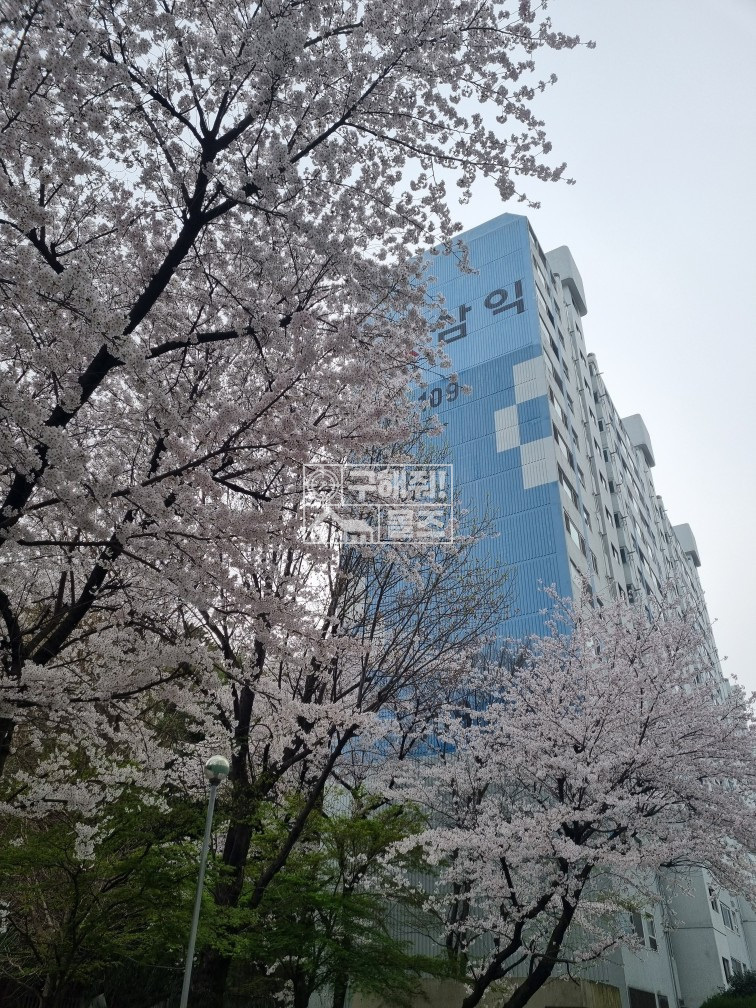 전남광주 북구 동림동 645 109동 동림동 삼익아파트 매매. 매매 매물번호 13077 사진 1
